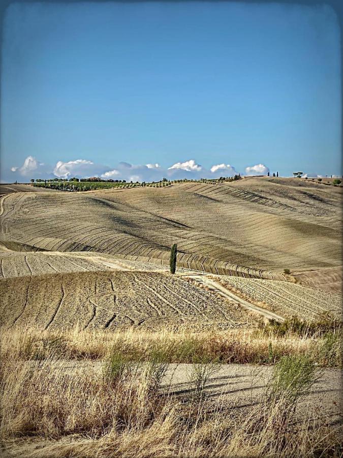 Vento D'orcia * Pienza