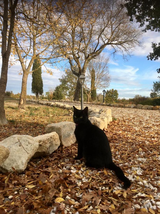 Vento D'orcia
