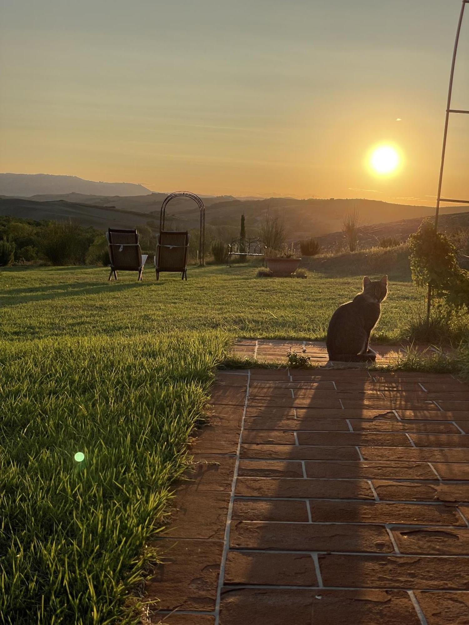 Bauernhof Vento D'orcia Pienza