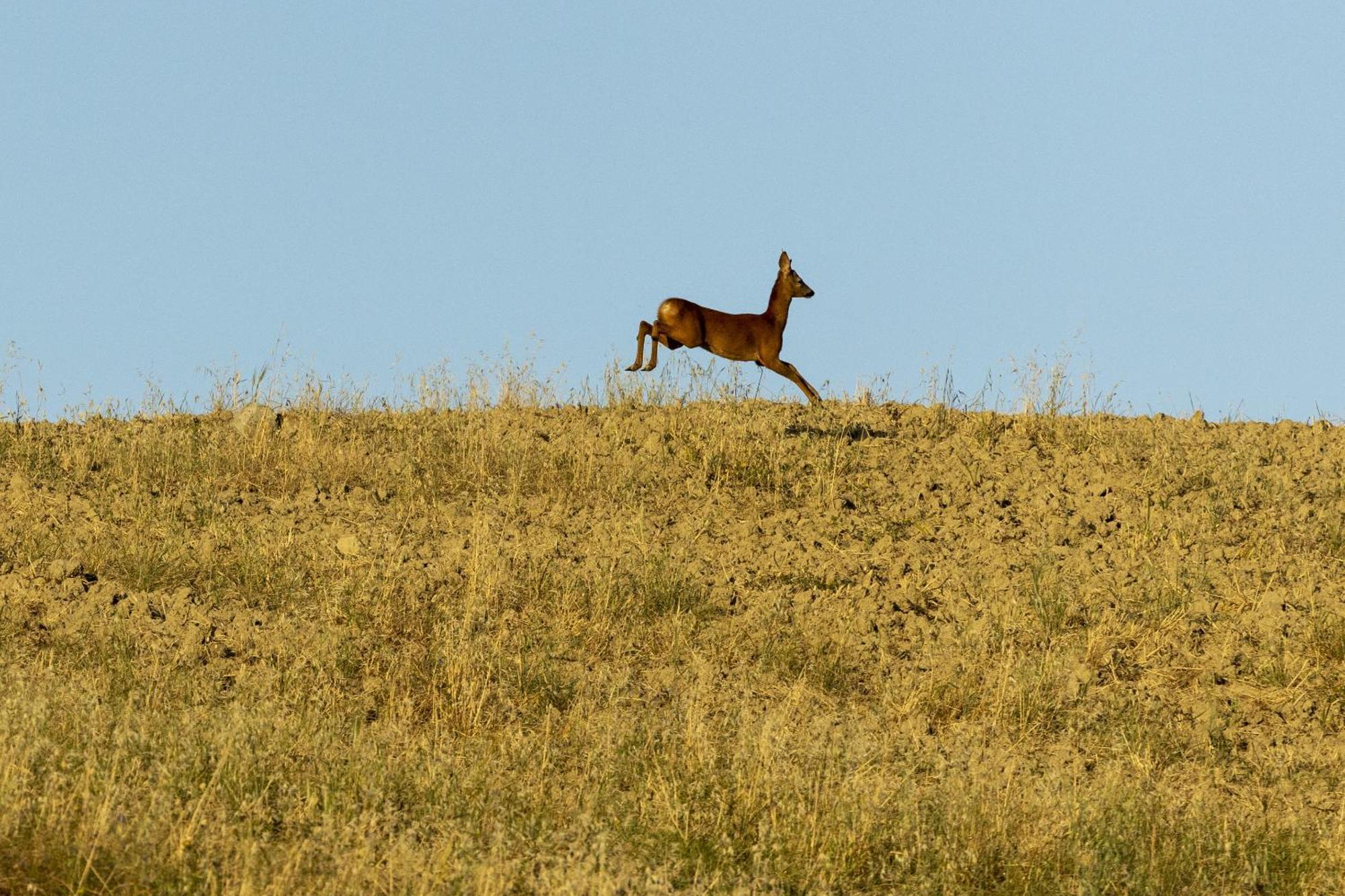 Vento D'orcia
