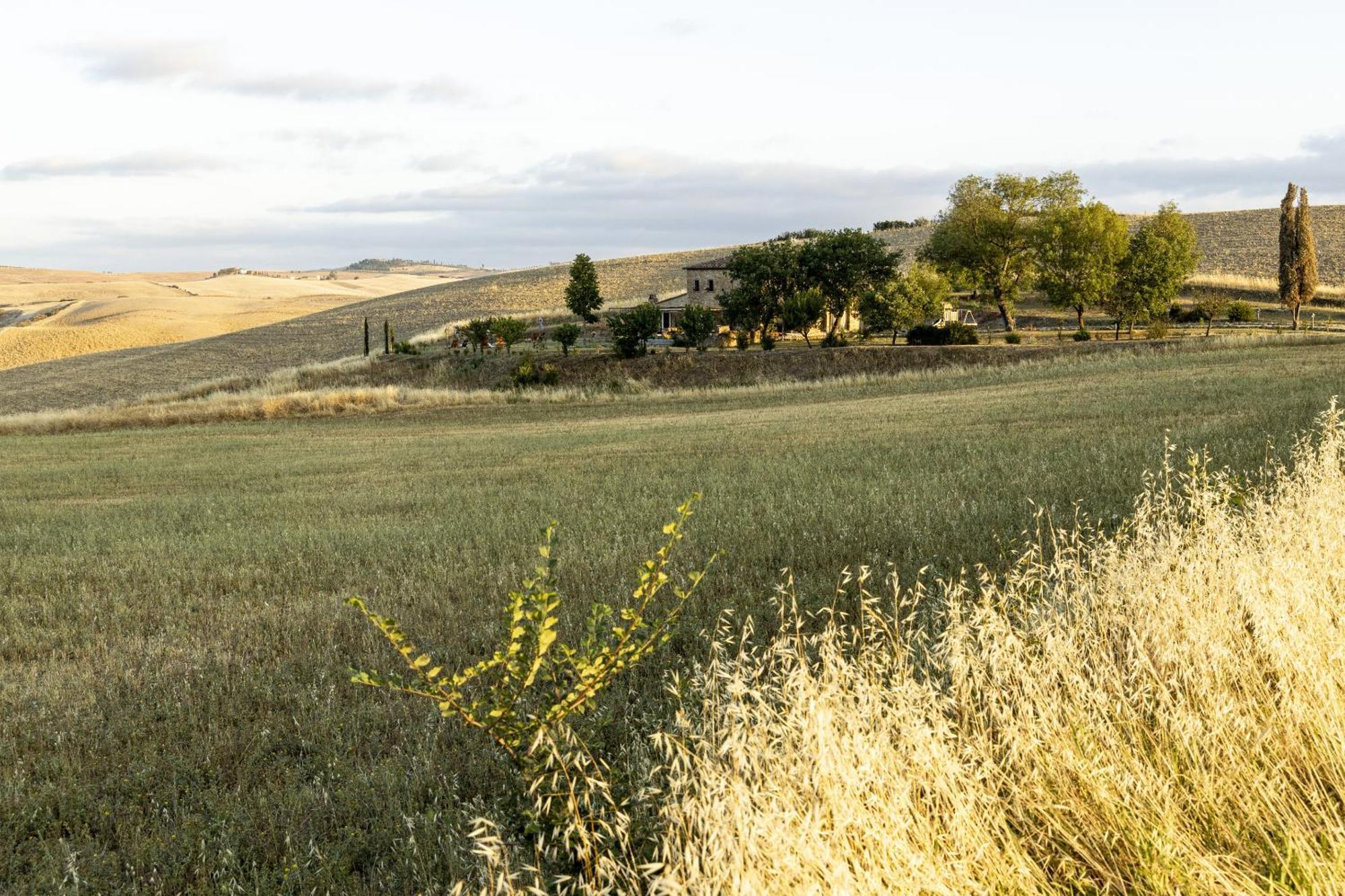 Vento D'orcia *